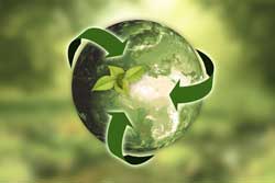 image about sustainabiity, the planet earth with a green plant sprout.