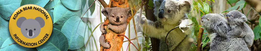 Koala site banner