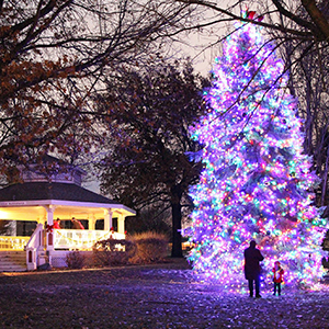 christmas tree
